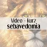 Video kurz Sebavedomia a Komunikácie - Online kurz od Michala Drienika zameraný na posilnenie sebavedomia, ovládnutie komunikácie, asertivitu, správne vystupovanie, psychológiu úspechu a ovládnutie mysle pre dosiahnutie cieľov.
